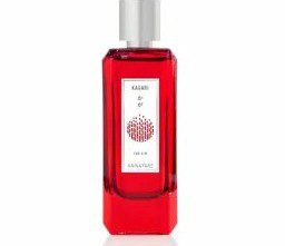 ANNAYAKE DOJOU HIM EDT 100 ML @ (Sin caja)