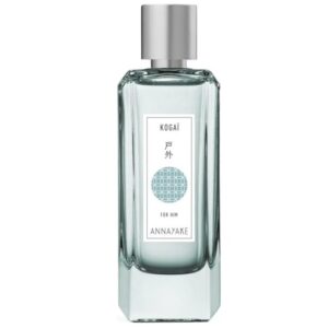 ANNAYAKE KOGAI HIM EDT 100 ML @ (Sin caja)